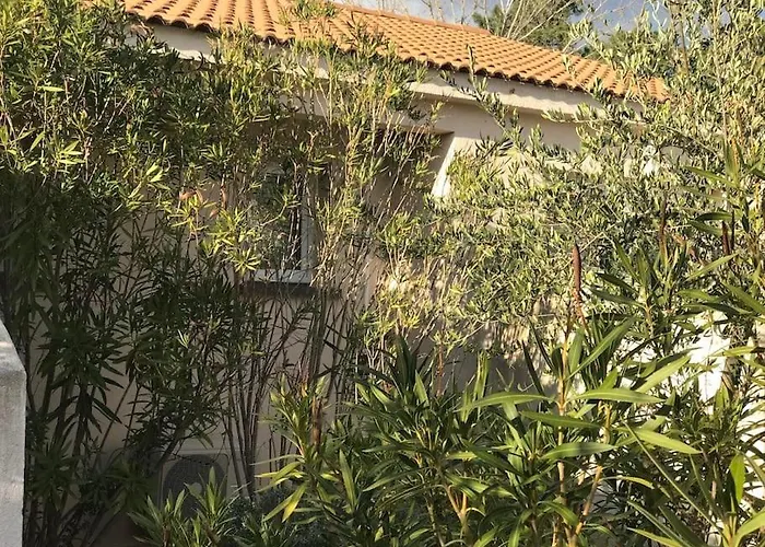 Mini 64 Favone 7pers Avec Piscine Proche *