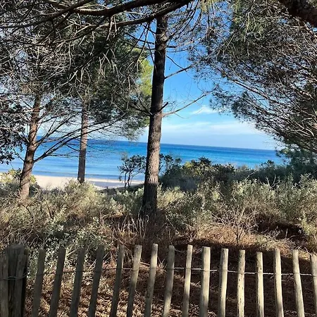 Mini Villa 64 Favone 7Pers Avec Piscine Proche Plage Διαμέρισμα